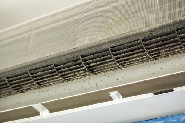 Best Best Air Duct Cleaning Company  in Angola, IN